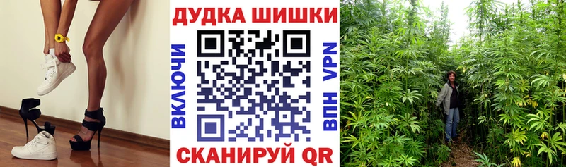 Где найти наркотики Покров СК АМФЕТАМИН ЭКСТАЗИ Меф Бошки Шишки