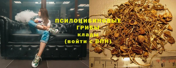 a pvp Кукмор