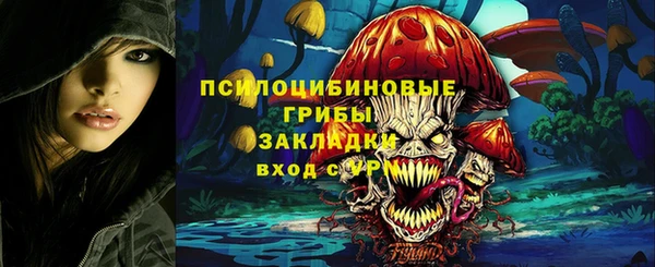 a pvp Кукмор